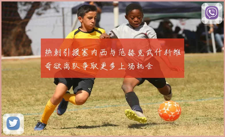 热刺引援塞内西与范赫克武什科维奇欲离队争取更多上场机会