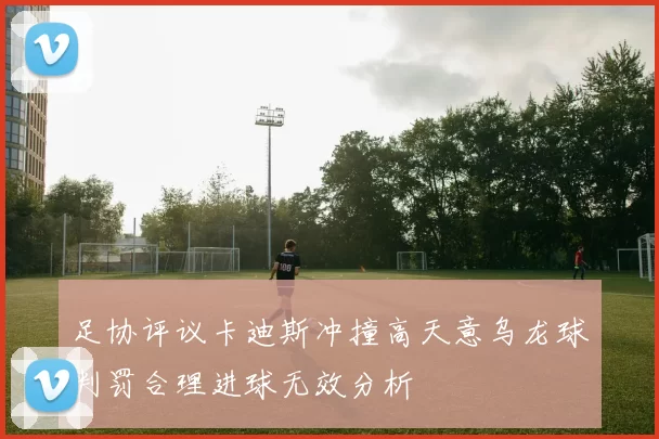 足协评议卡迪斯冲撞高天意乌龙球判罚合理进球无效分析