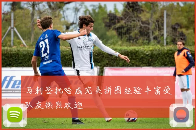 马刺签托哈成完美拼图经验丰富受队友热烈欢迎